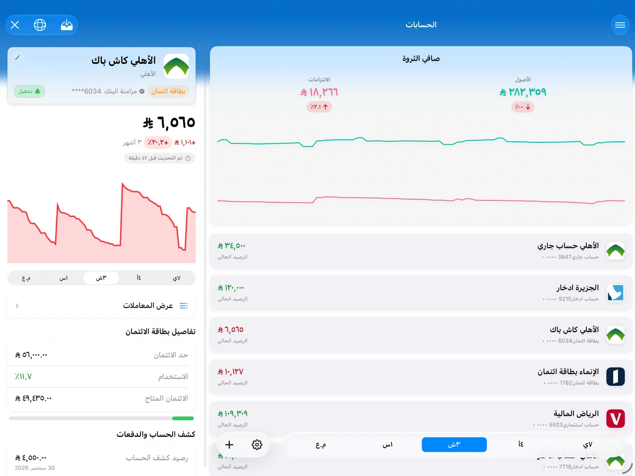 Summa on iPad: accounts beside the detail pane