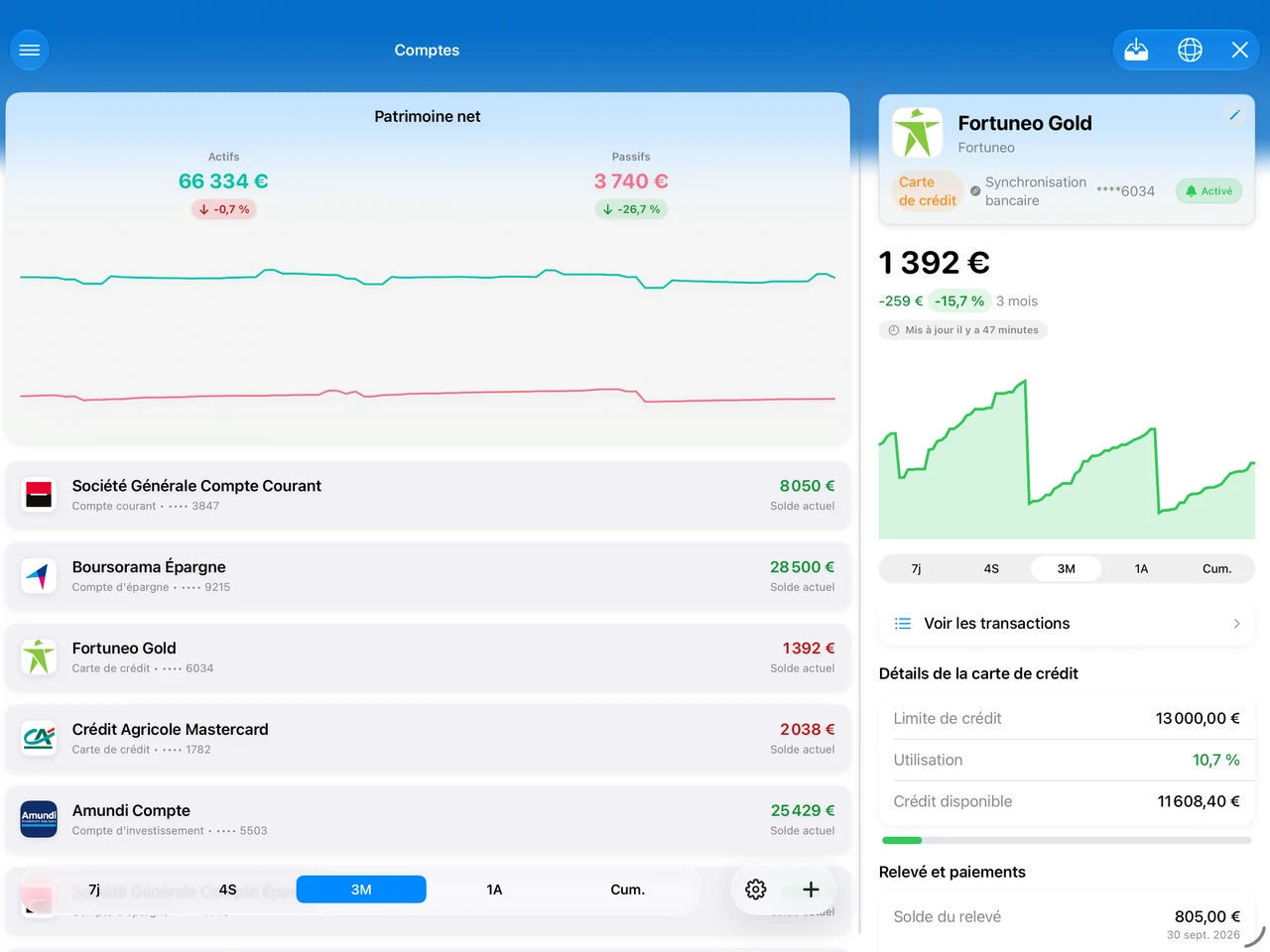 Summa on iPad: accounts beside the detail pane
