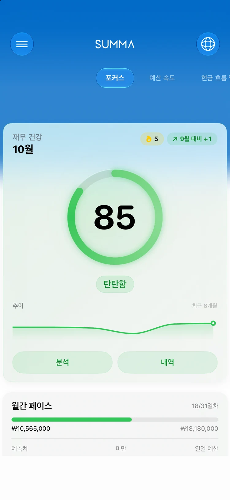 Focus: 내 재무 건강을 단 하나의 점수로.