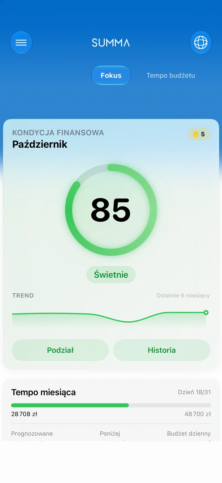 Focus: Twoja kondycja finansowa w jednym wyniku.