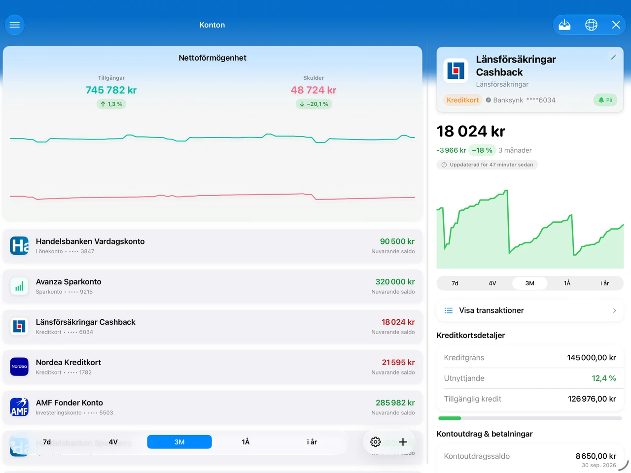 Summa on iPad: accounts beside the detail pane