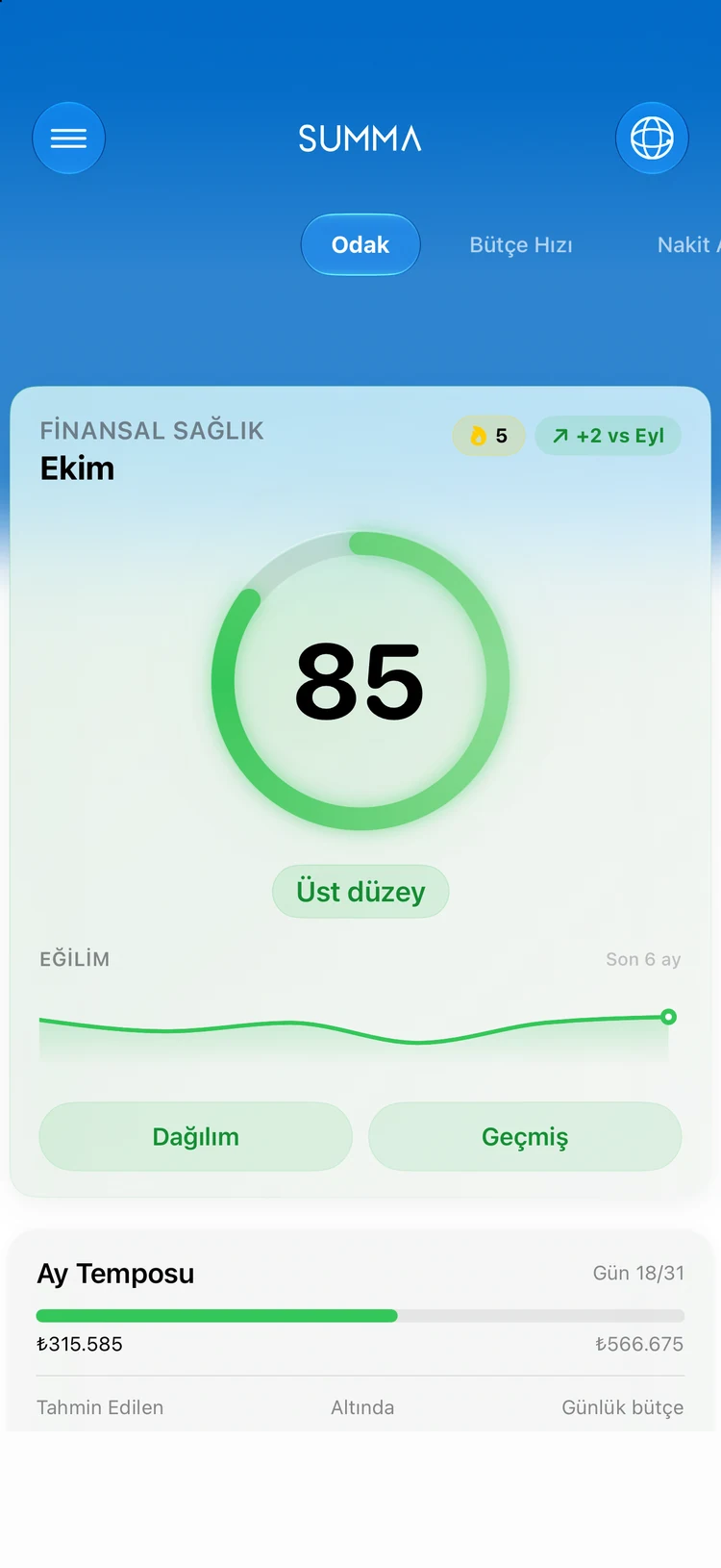 Focus: Finansal sağlığınız, tek bir puanda.