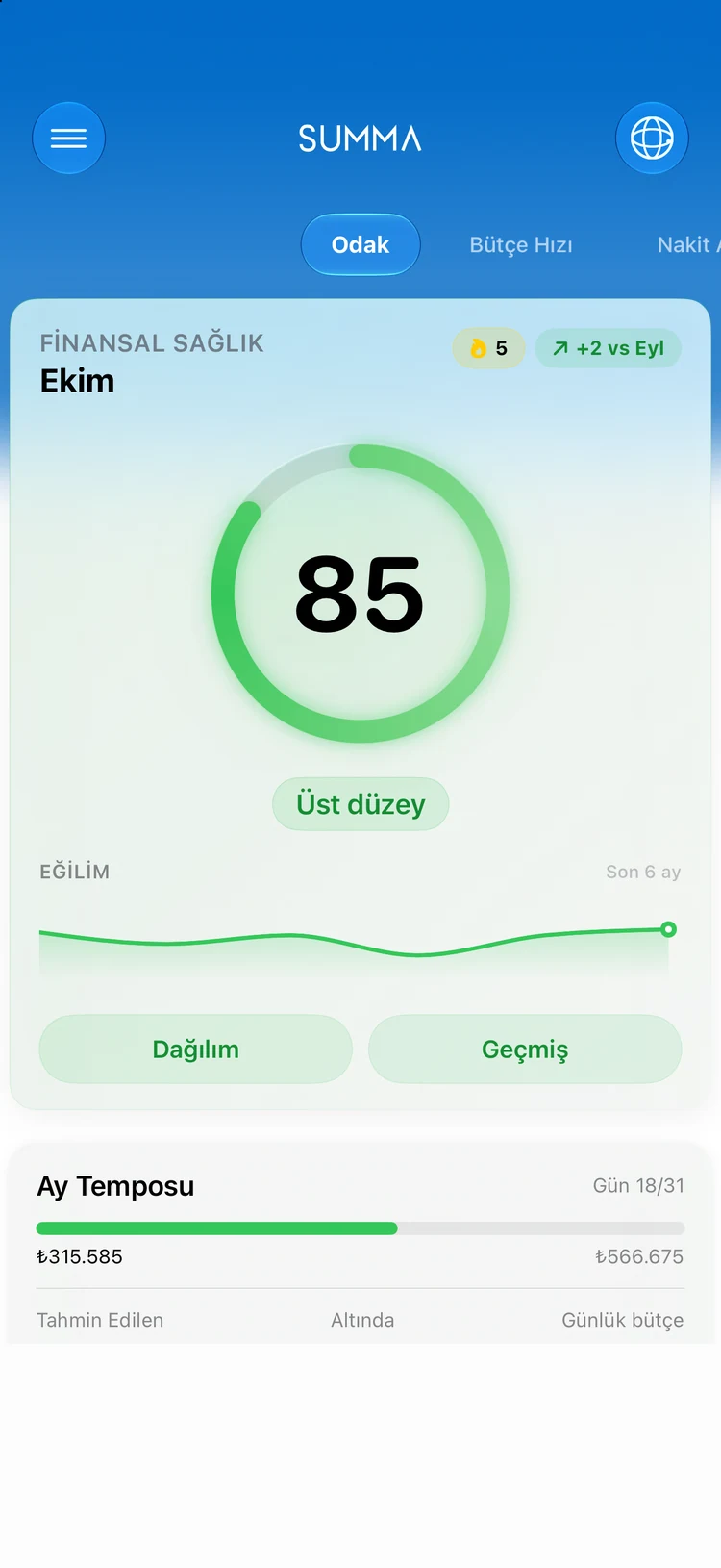 Summa panosu: hesaplar, bütçeler, faturalar ve net varlık tek bir defterde.